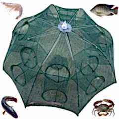 Balık Tuzağı 12 Gözlü